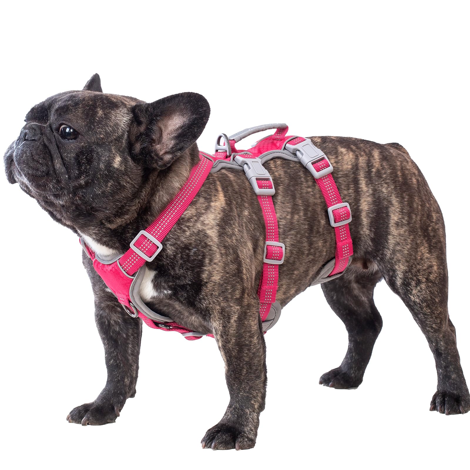 Huntboo Escape Proof Dog Harness, Escape Artist Harness, Reflective Harness with
