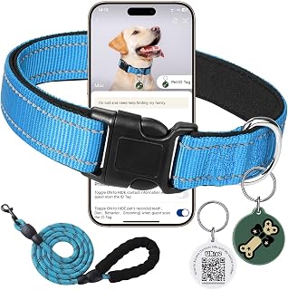 Reflective Dog Collar with Adjustable Buckle, Dog Safety Nylon, Sky Blue, Small, 5' Leash and C26 Smart QR Code Anti-lost Pet ID Tag