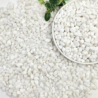 SHIZWU 6-9mm 0.9kg White Gravel for Plant Pots and Vase Fillers | Decorative stone for gardens planters terrariums succulent beds drainage layers and indoor displays