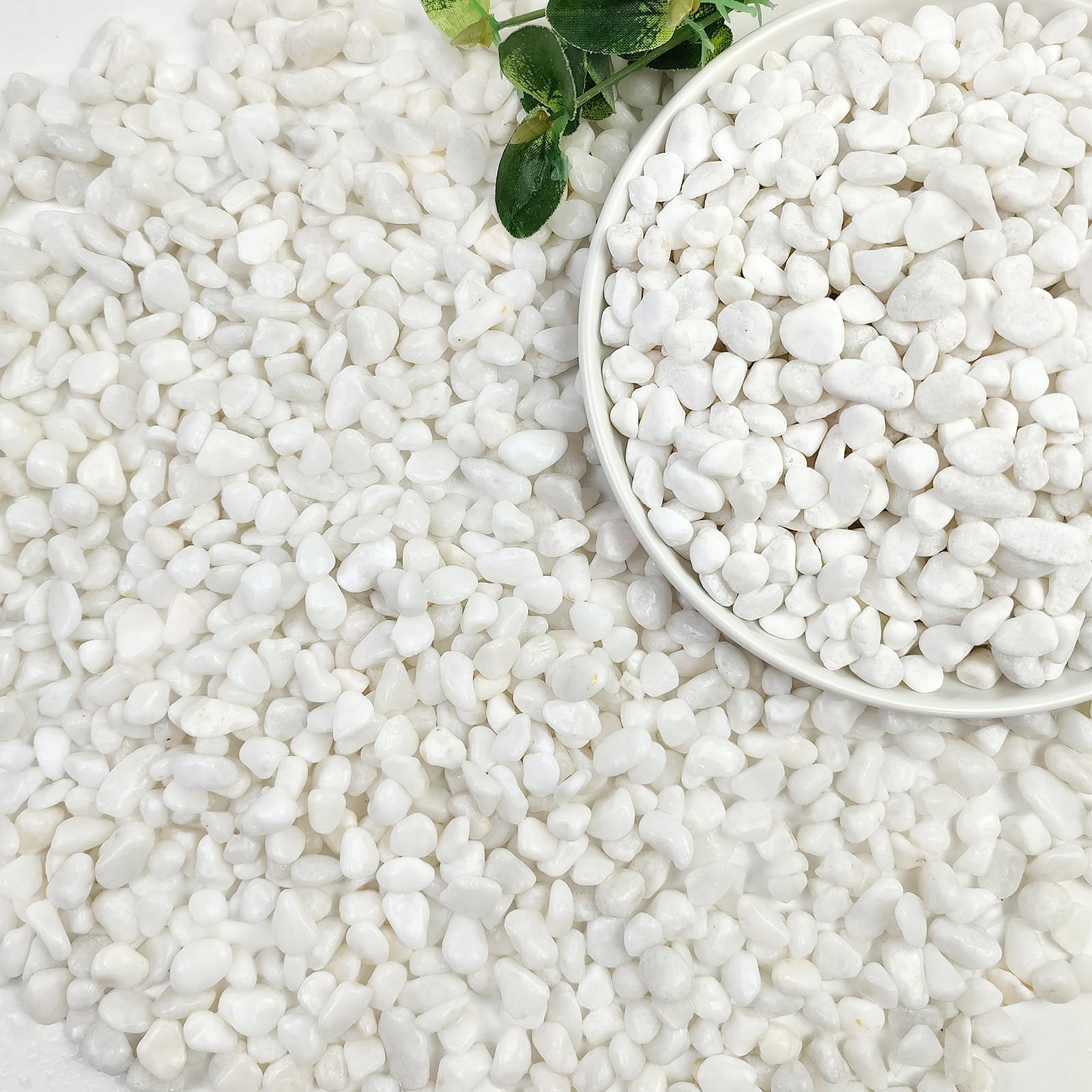 SHIZWU 6-9mm 0.9kg White Gravel for Plant Pots and Vase Fillers | Decorative sto