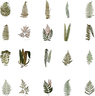 40 Pcs Natural Plant Stickers for Scrapbooking - Self Adhesive Transparent Flower Stickers Scrapbooking Journaling Supplies for Adult Card Making, Letter, DIY Water Bottle, Card Decoration, Fern Leaf