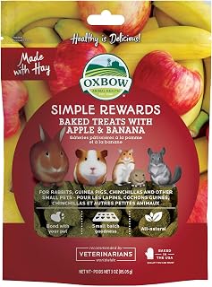 Oxbow Simple Rewards Guinea Pig & Rabbit Treats, Apple Banana, Baked, 3 oz | Timothy Hay, Bunny Treats, Hamster Treats, Chinchilla, Guinea Pig Snack, Rabbit Enrichment, Rabbit Accessories, Essentials