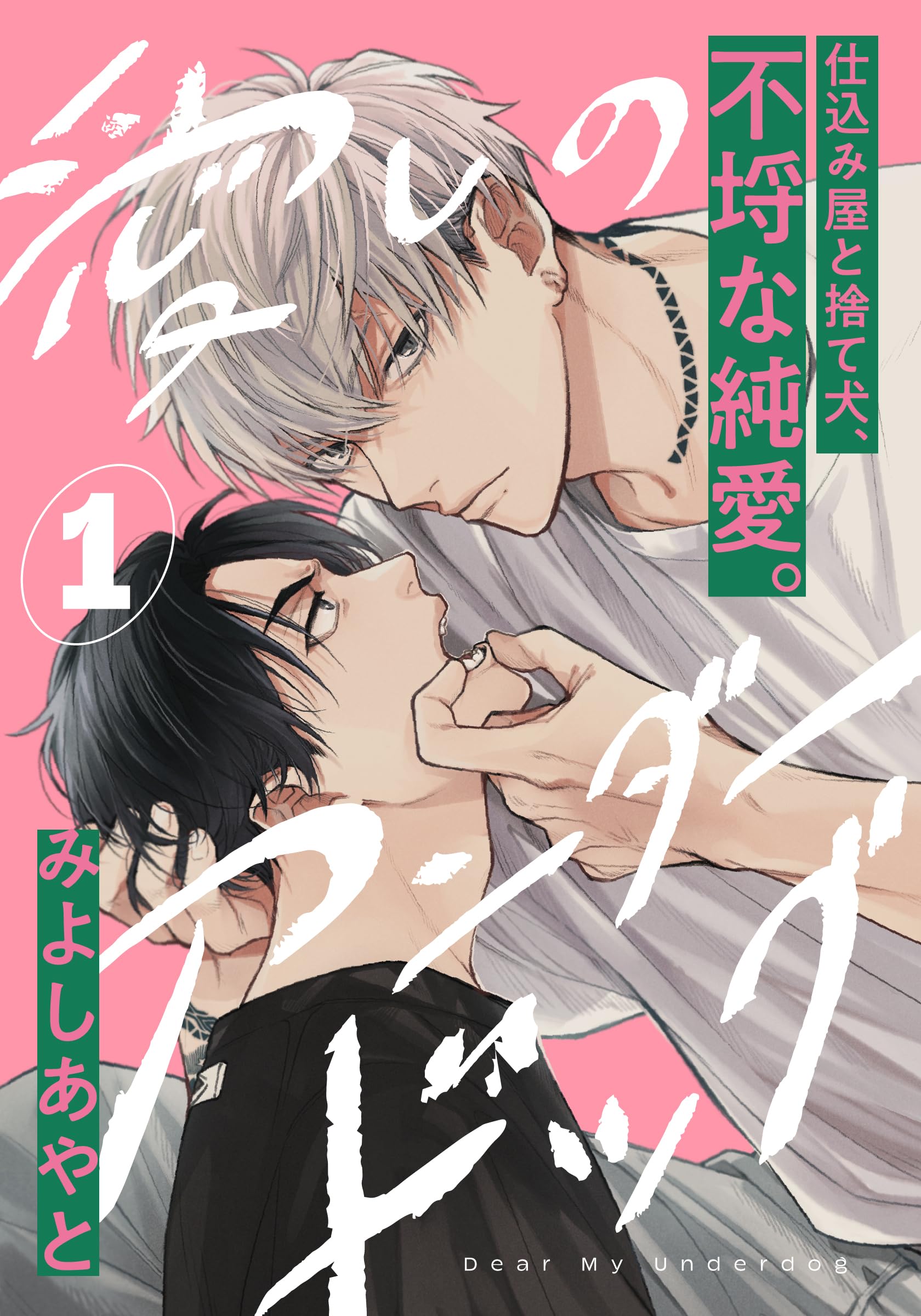 愛しのアンダードッグ(1) (アメイロ)