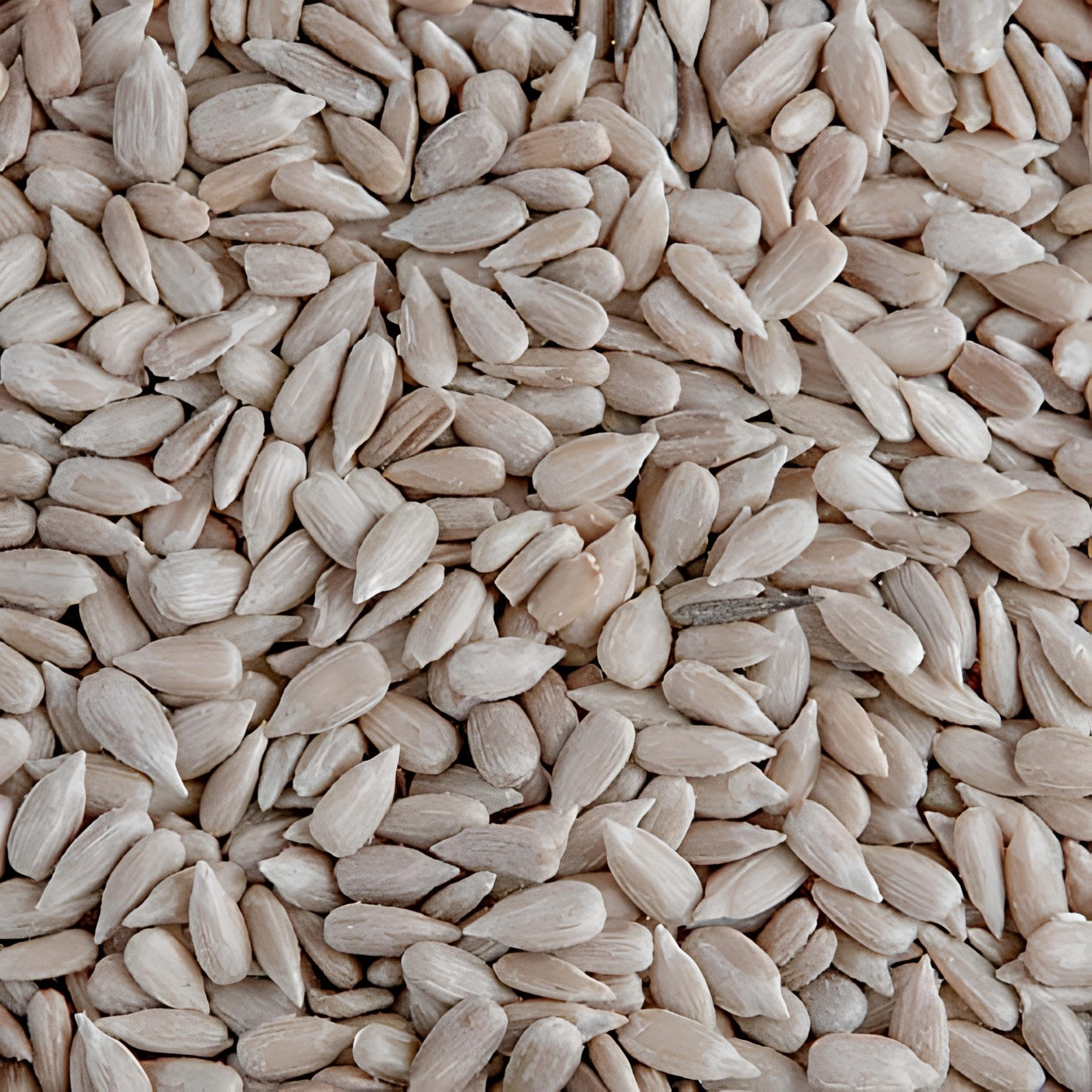 Leagrams Premium Sunflower Hearts (Sunflower Kernels) for Wild Birds – No Mess, 