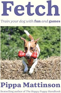 Fetch: Train your Dog with Fun and Games