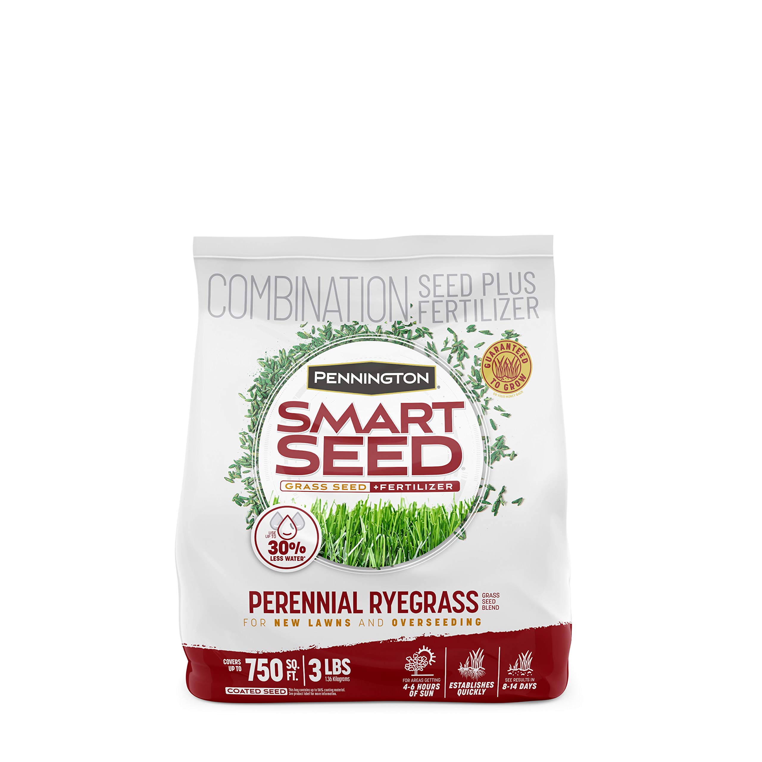 Pennington Smart Seed Perennial Rye Grass Seed Plus Fertilizer, 3 lb | Perennial