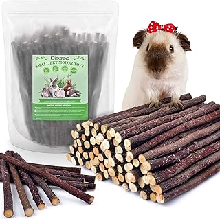 Bissap 460g/1lb Apple Sticks for Guinea Pig, Rabbits Natural Molar Chew Toys for Bunny Chinchilla Guinea Pig Hamster Gerbil and Small Animals Apple Wood Stick Toys Treats (460g/1lb)