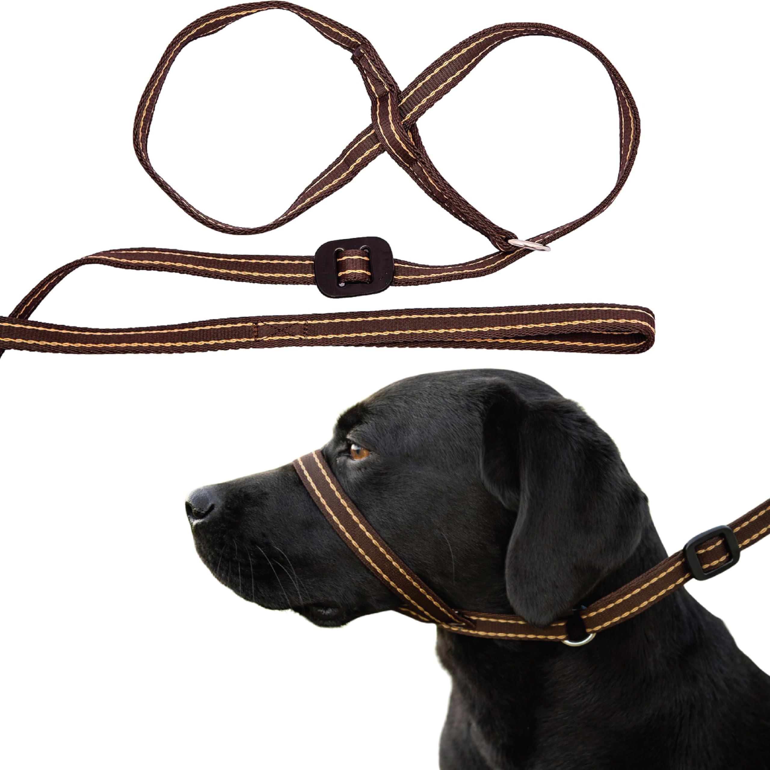 Gencon - All-in-One Anti Pull Dog Lead and Headcollar - Trainer Approved - Figur