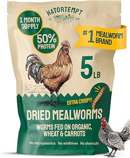 Hatortempt 5lb Dried Mealworms for Chickens & Wild Birds, Chicken Feed | Non-GMO - High-Protein Chicken Food for Laying Hens - Meal Worms Fed Organic Diet - Hand Inspected Treats - Duck Food
