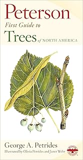 Peterson First Guide To Trees: A beginner-friendly field guide identifying 243 trees across six leaf-type categories, with 200 vivid color illustrations