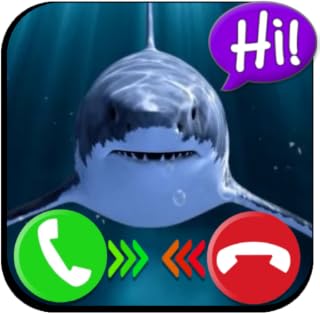 Shark and More Sea Animals - Fake Call Video & Chat