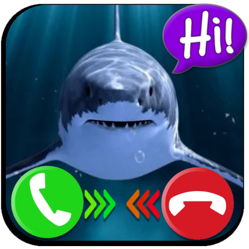 Shark and More Sea Animals - Fake Call Video & Chat