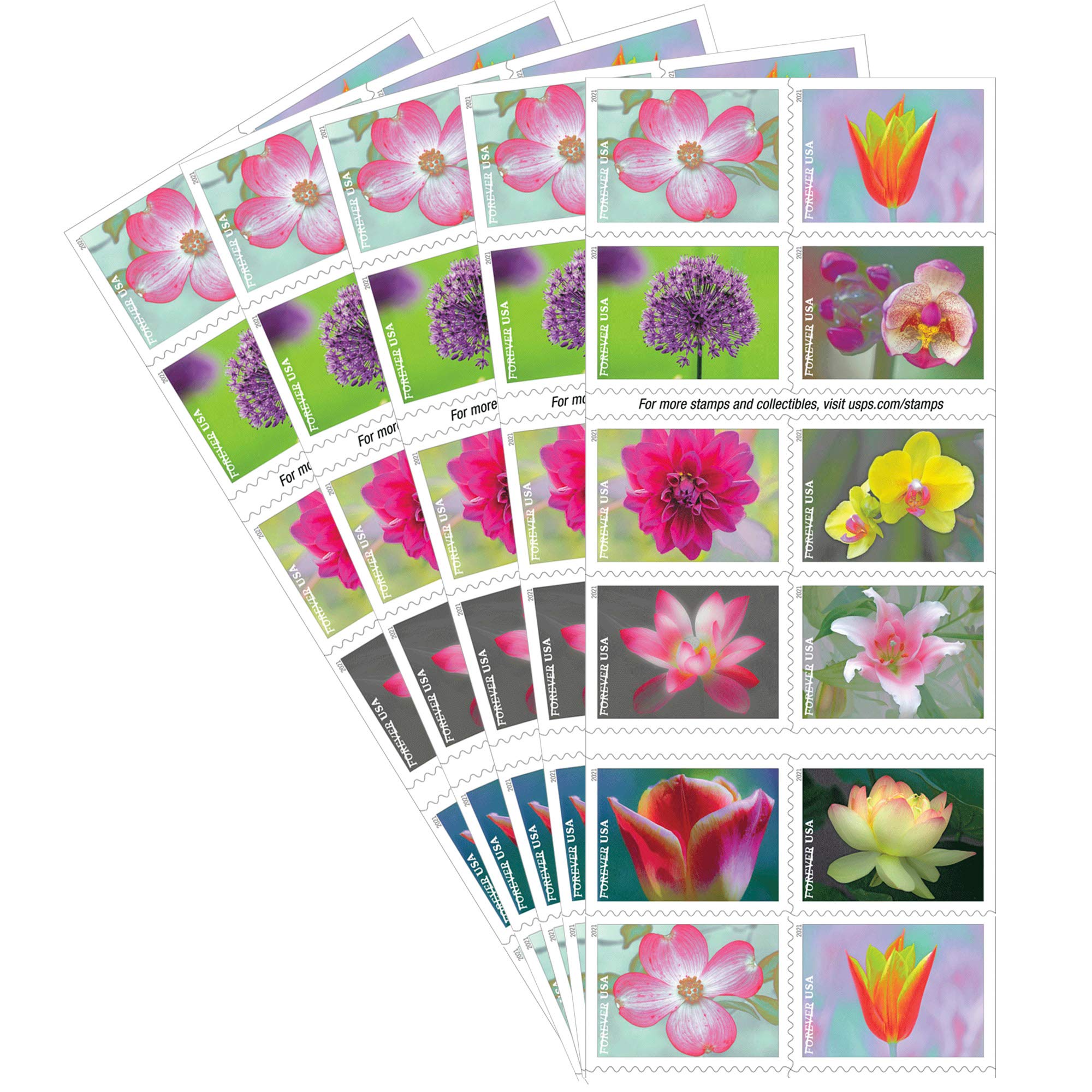 USPS Garden Beauty Forever Postage Stamps 5 Books of 20 US Postal First Class We