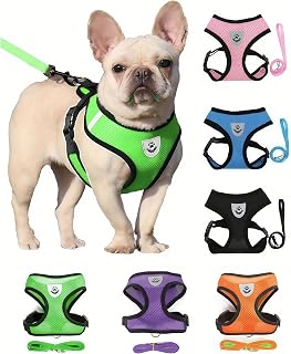 Small Cat Dog Harness - All Weather Mesh, Reflective, 4' Traction Rope, No Pull Harness for Small Dogs and Cats - Hook and Loop Fasteners for Secure, Buckle, Double D-Rings, Small, Black