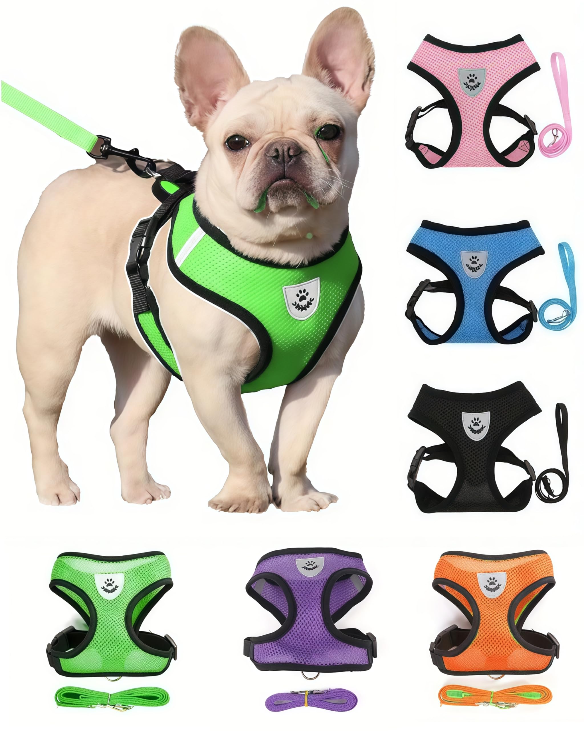 Small Cat Dog Harness - All Weather Mesh, Reflective, 4' Traction Rope, No Pull 