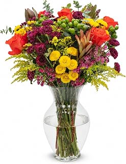 Stargazer Barn Let's Celebrate Fall Harvest Bouquet - Vase Included | Fresh Cut Flower Delivery, Hand-Tied in the USA, Gift for Birthday, Anniversary, Sympathy or Home Decor