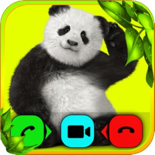 Panda and Friends - AI Video Call Prank and Chat