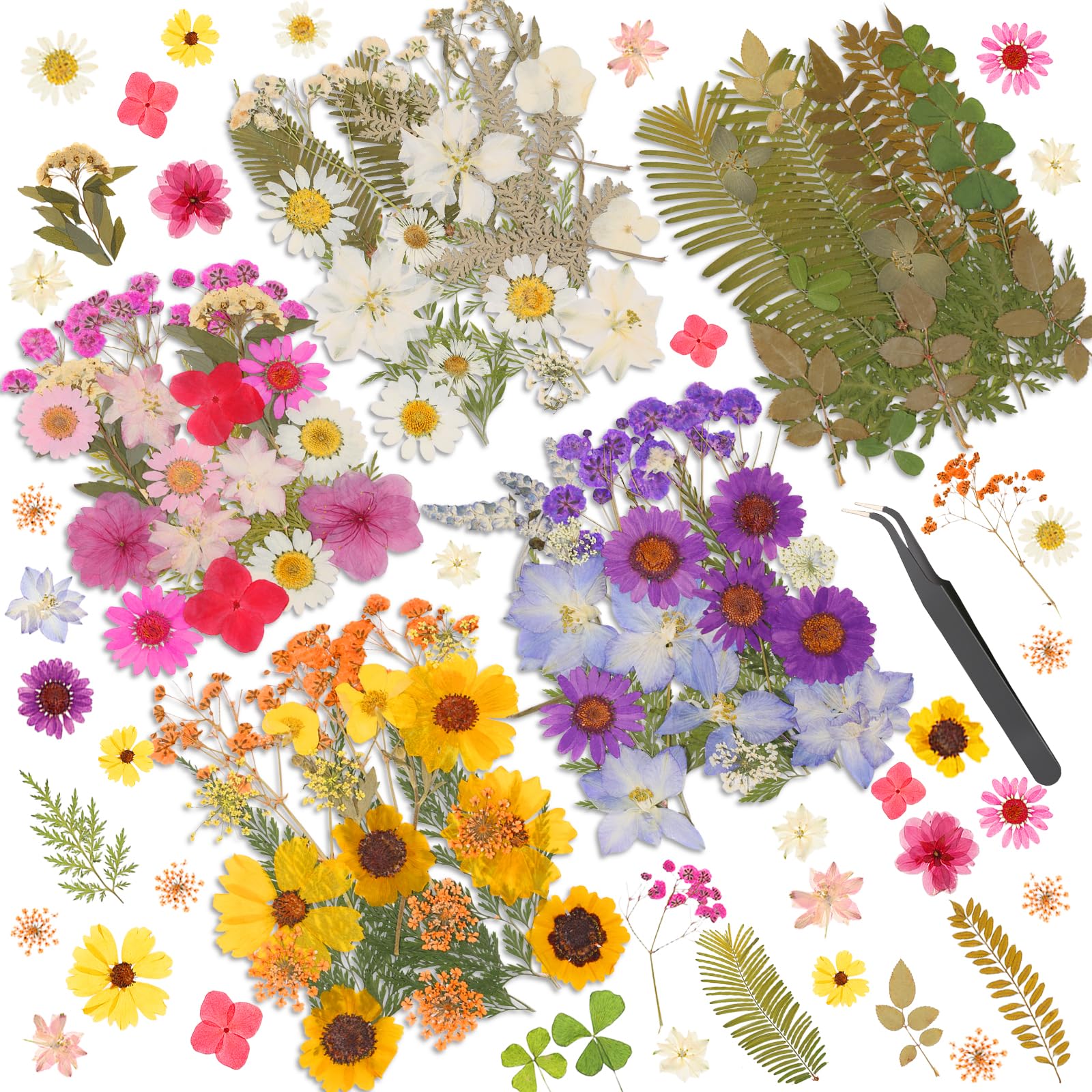 Dried Pressed Flowers for Resin, Real Pressed Flowers Dry Leaves Bulk Natural He