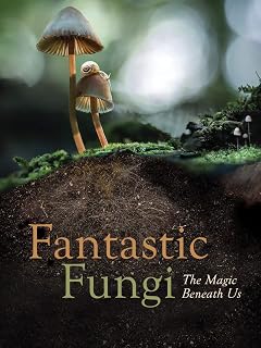 Fantastic Fungi