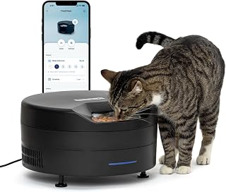 PetSafe FreshFeed Refrigerated Automatic Cat & Dog Feeder, 6 Meals, Black | 40F Dual Semiconductor Cooling, Keeps Wet Food Fresh, Automatic 6-Meal Rotating Tray, App-Controlled Scheduling