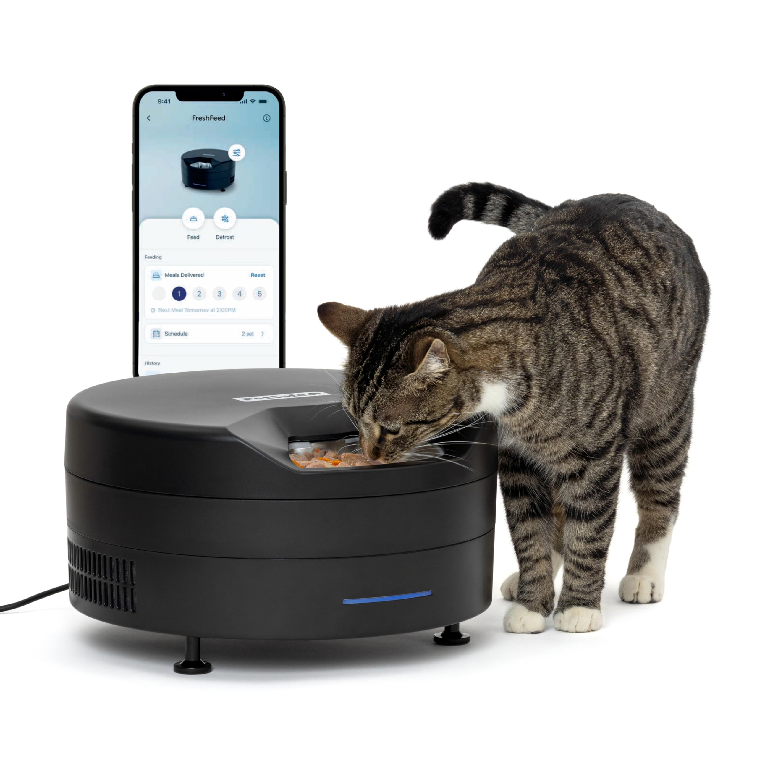 PetSafe FreshFeed Refrigerated Automatic Cat & Dog Feeder, 6 Meals, Black | 40F 