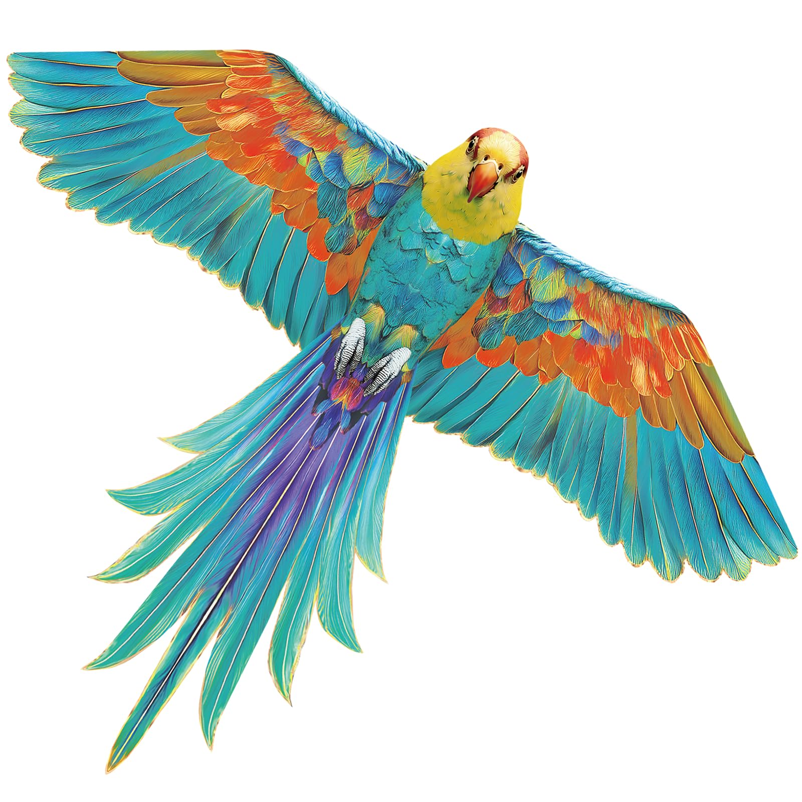 60" Large Bird Kite for Kids & Adults — Realistic Bird Design, Easy to Fly Begin