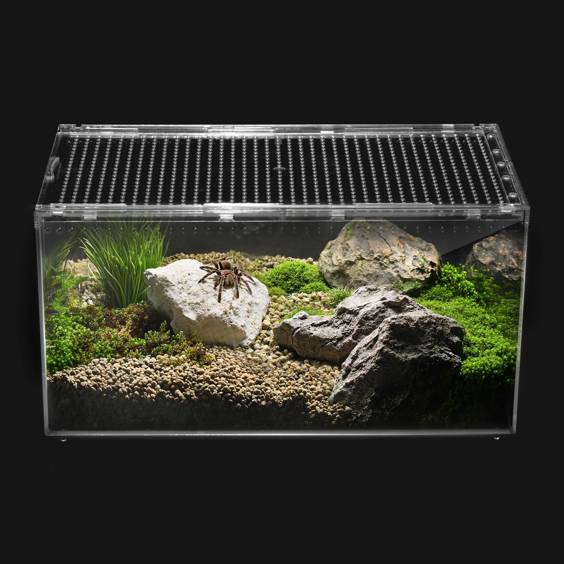 Clioran Reptile PC Tank,Escape Proof Magnetic Lid Tarantula Enclosure Large | Ea