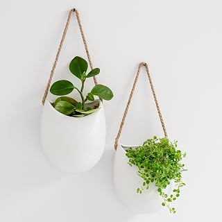 Kazai. Wall Planters -Ellie- | Ceramic Hanging Planters | 2 Pieces | Wall Decor for Indoors, Balconies and Gardens | White (Matte)