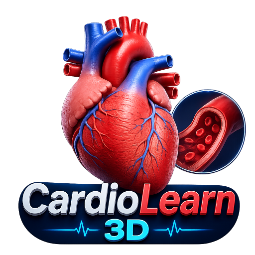 CardioLearn 3D