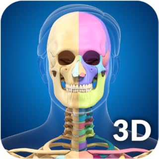 My Skeleton Anatomy