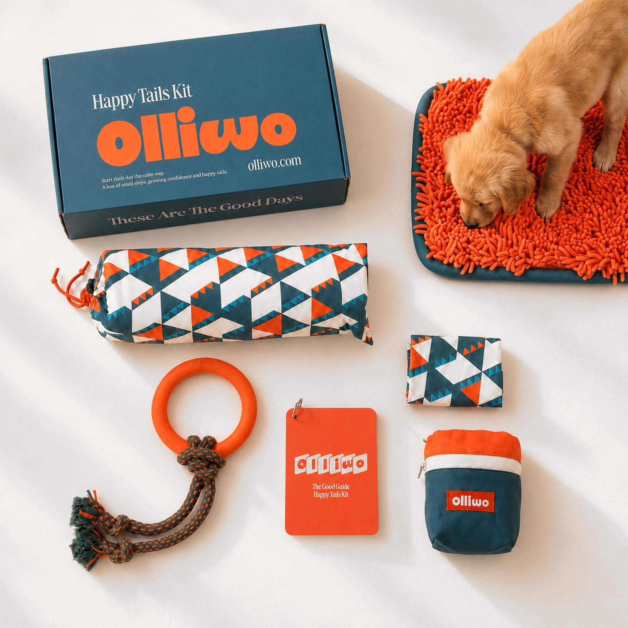 Olliwo Happy Tails Puppy Habit-Building Kit, Tug Toy Snuffle Mat, Large | A kit 