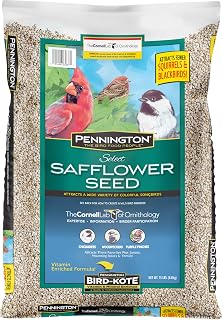Pennington Select Safflower Seed 15 lb Bag | Bird Seeds for Outside Wild Birds, Enriched with Vitamins and Nutrients, Works in Hopper, Gazebo and Tube Feeders
