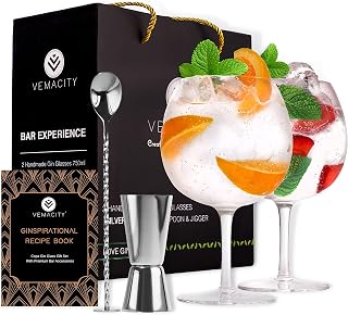 Vemacity Gin Glasses Set of 2, Silver Bar Tools, Crystal Gin Glass Gift Set