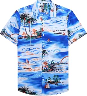 Alimens & Gentle Men's Classic Button Down Shirt (Pack of 1)