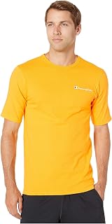 Champion Men's Medium Weight Cotton Round Neck T-Shirt, Seasonal Graphics, Matte