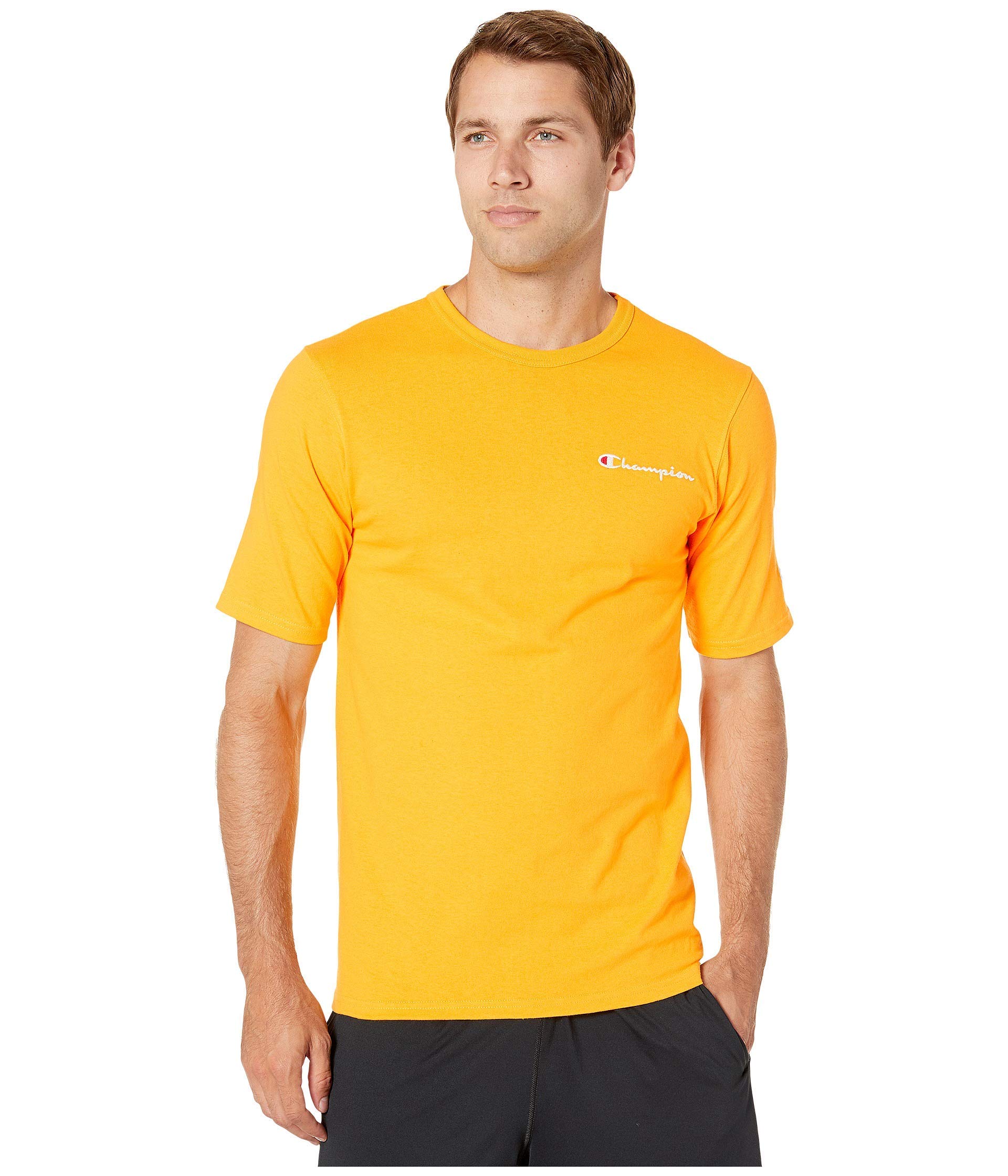 Champion Men's Medium Weight Cotton Round Neck T-Shirt, Seasonal Graphics, Matte