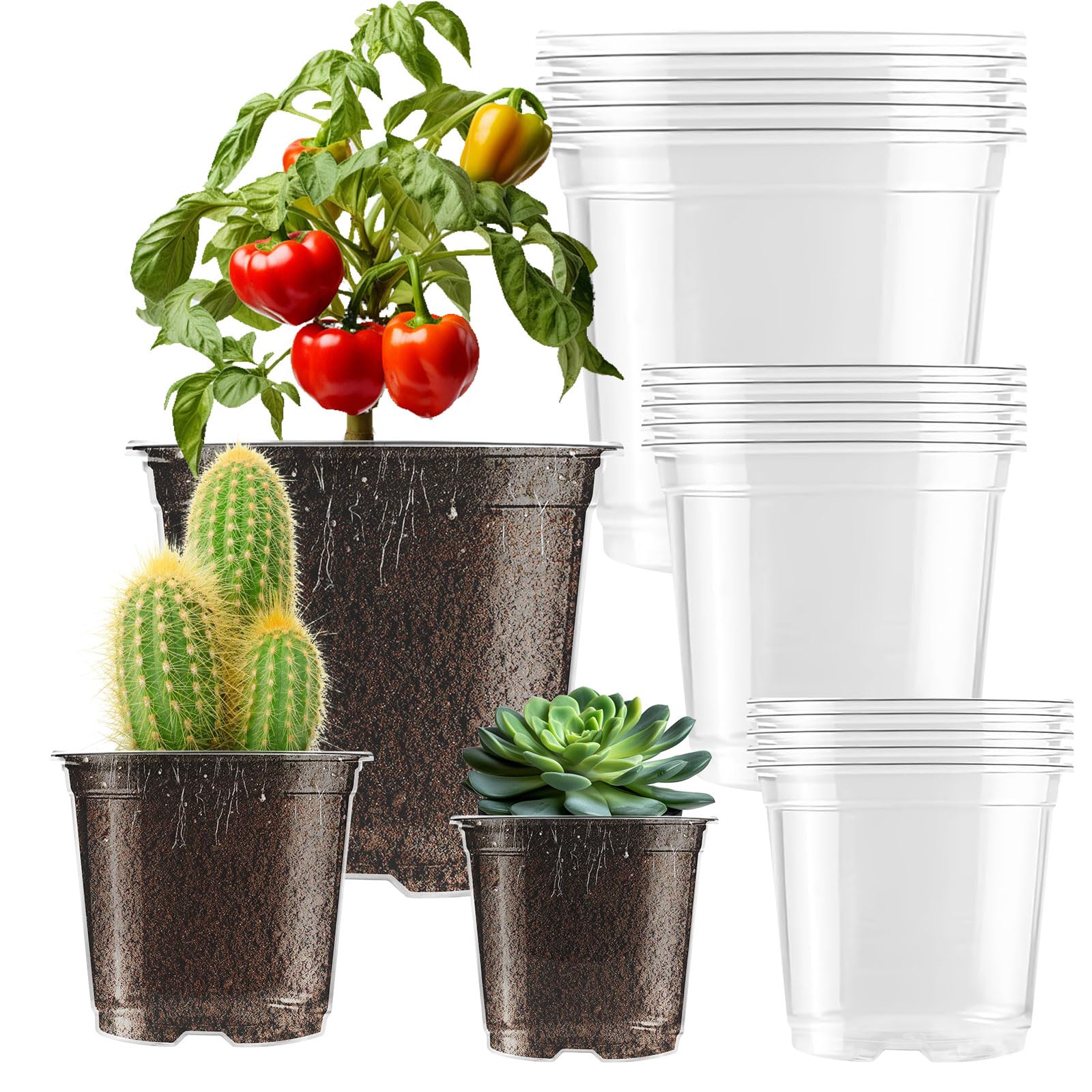 auriikoop Clear Nursery Pots for Plants, 15 Pack 3.5/4/5 Inch Plastic Plant Pot 