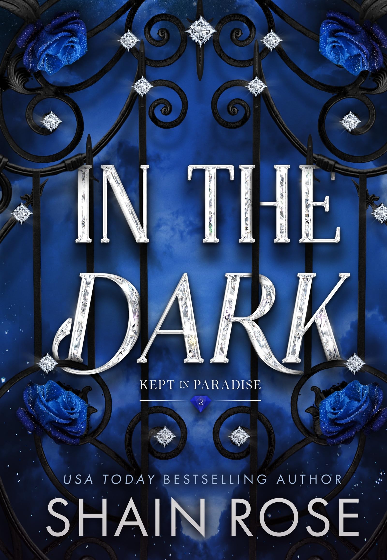 In the Dark: An absolutely unputdownable, dark and steamy billionaire romance (P