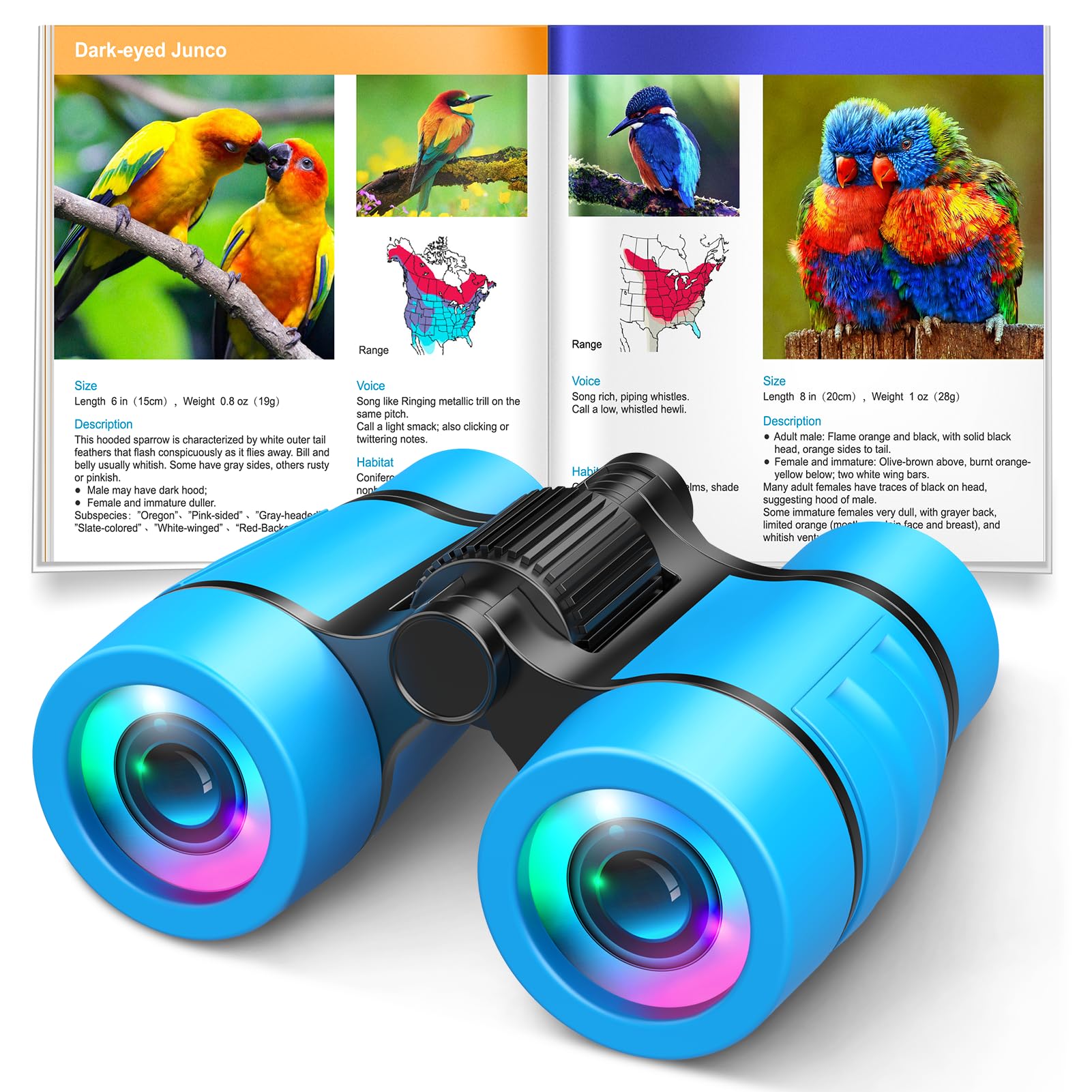 Toys for Boys Ages 3-7: LET'S GO! Kids Binoculars with Bird Watching Manual for 