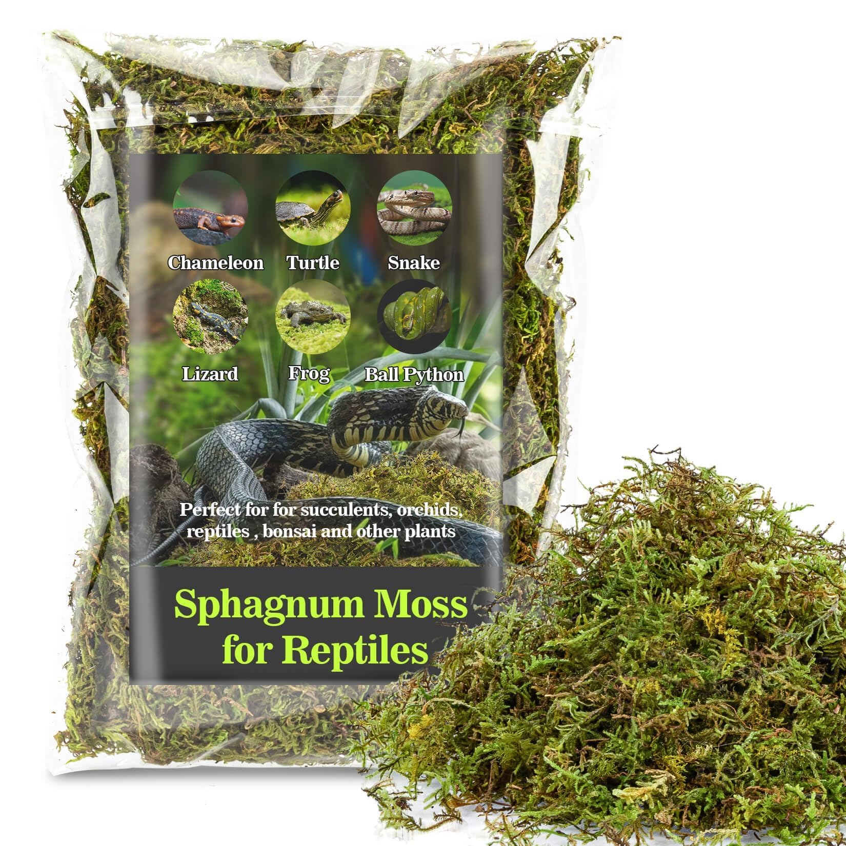 Sukh Sphagnum Moss for Reptiles - Green Terrarium Moss Substrate, 5oz | Habitat 