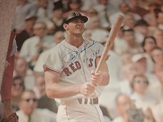 * CARL YASTRZEMSKI * Boston Red Sox rare signed 1968 Sports Illustrated poster
