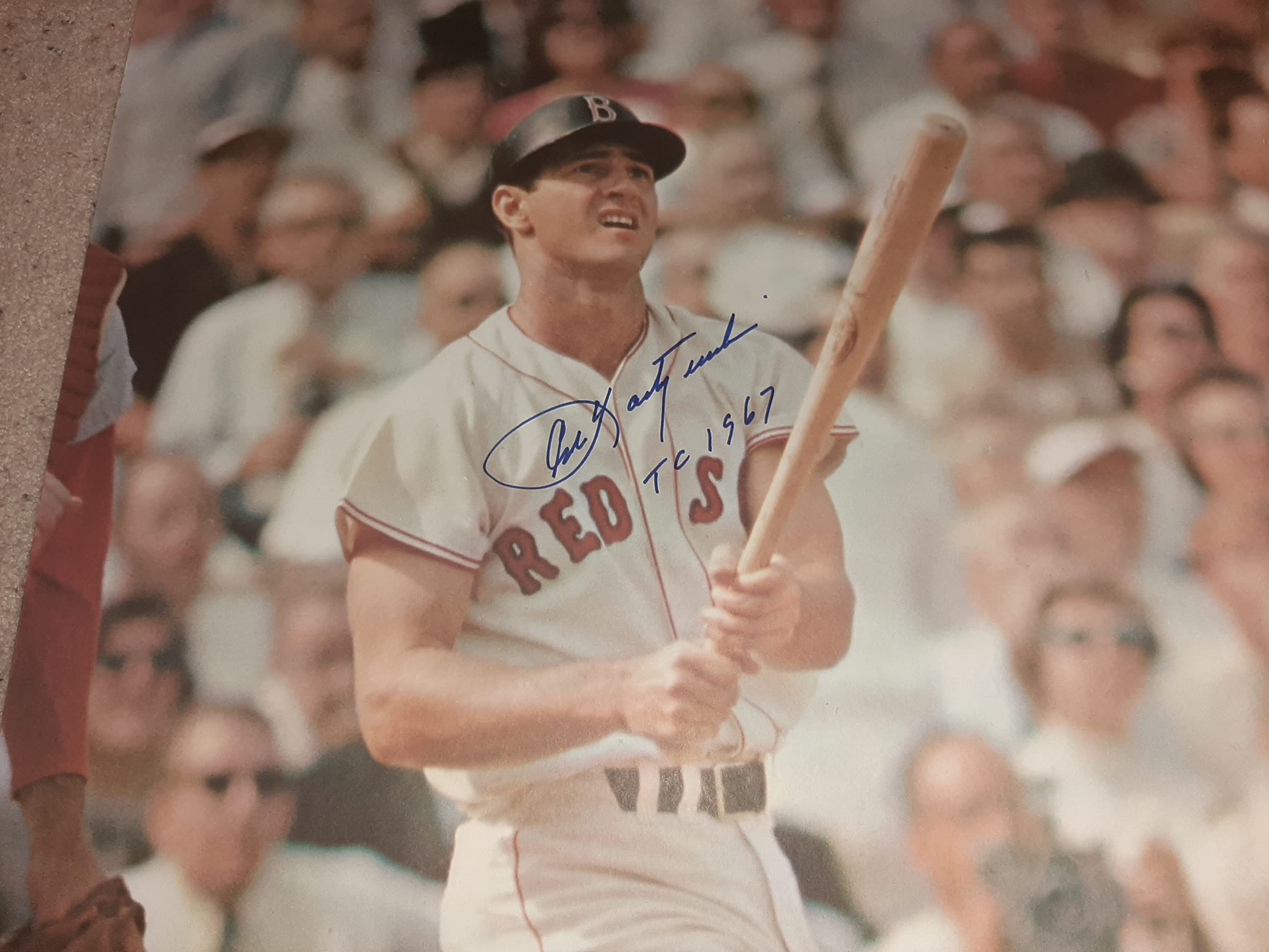 * CARL YASTRZEMSKI * Boston Red Sox rare signed 1968 Sports Illustrated poster