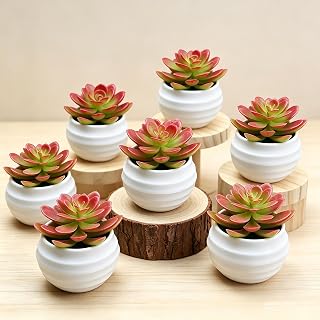 Artificial Succulent Plants Potted Small Fake Plants for Bedroom Living Room Office Shelf Bathroom Decor (Red)