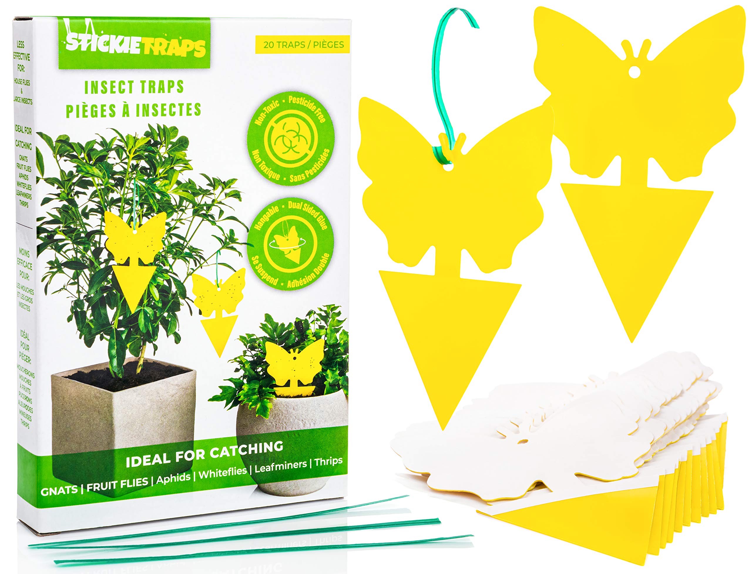 EcoCanucks Sticky Traps (20 Pack) | Sticky Fruit Fly Traps & Gnat Traps | Fungus