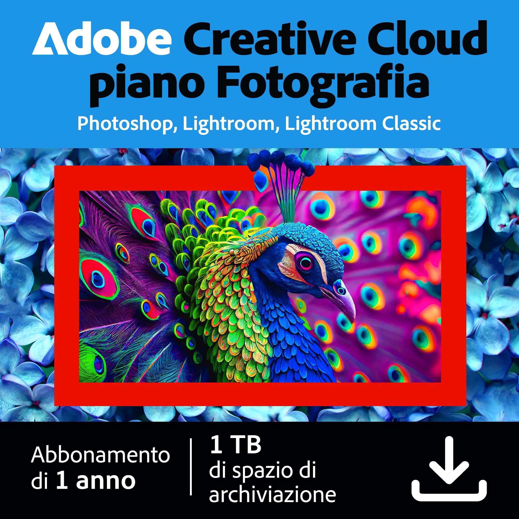 Creative Cloud Photography plan | Standard 1TB | 1 Anno | PC/Mac |Download Digit