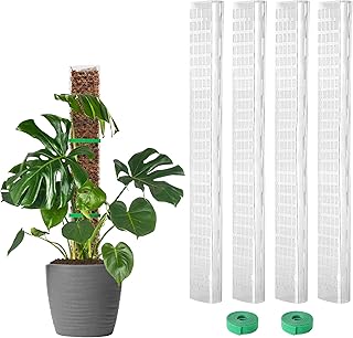 EOX Plastic Moss Pole for Monstera and Climbing Plants, 24-Inch, 4-Pack | Clear D-Shaped Design, Fold-to-Assemble, Sphagnum Moss Not Included, Helps Retain Moisture, Rooting Grid for Aerial Roots