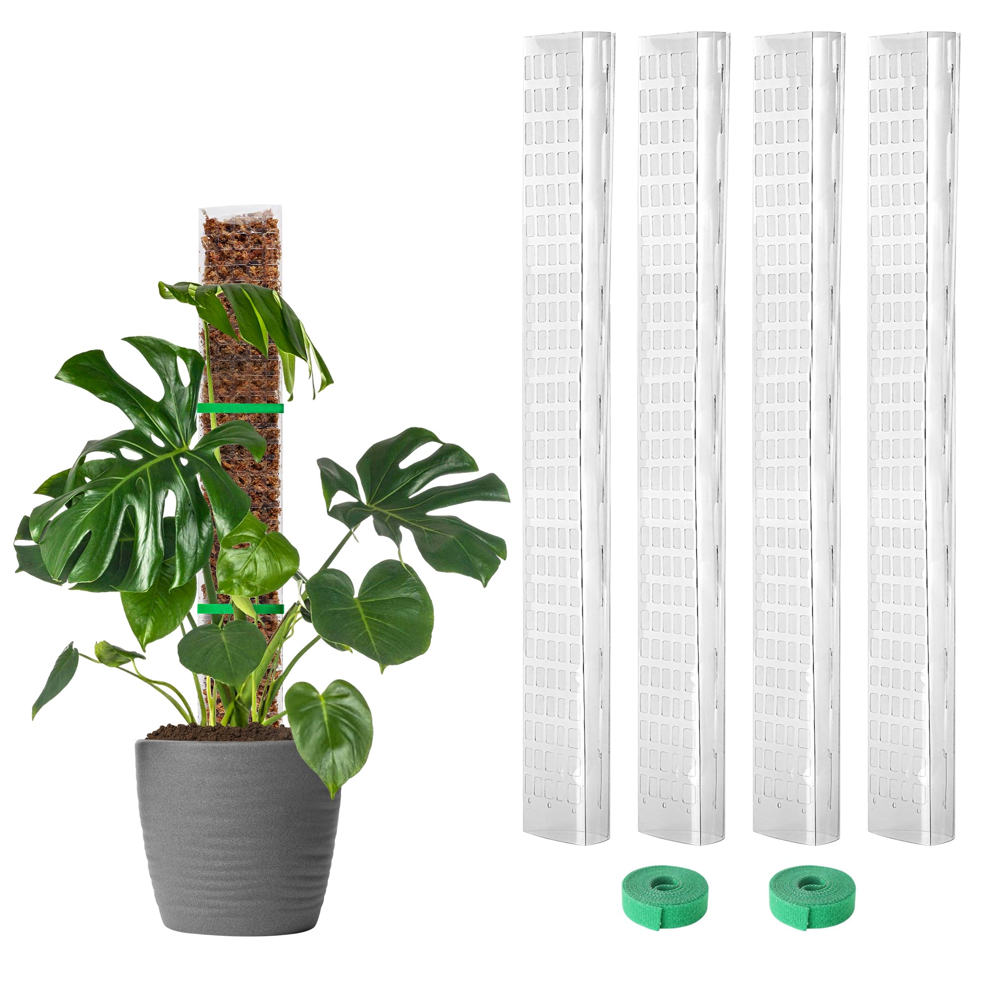 EOX Plastic Moss Pole for Monstera and Climbing Plants, 24-Inch, 4-Pack | Clear 