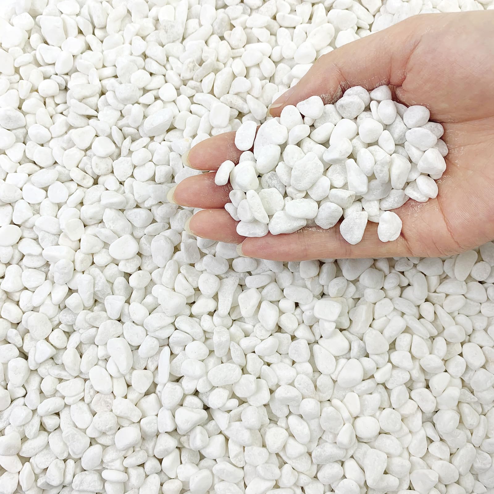 FANTIAN 2lbs Natural White Gravel Pebbles for Garden, 6-9 mm White Stones for Ga