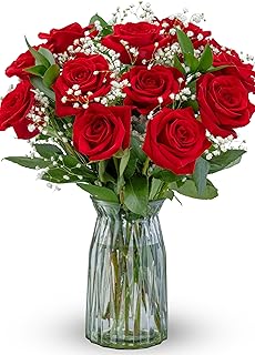 Benchmark Bouquets - Fresh Flowers for Delivery - One Dozen Long Stem Roses - Anniversary Flowers - Real Roses - Red Roses Bouquet - Gifts for Mom (Glass Vase Included)
