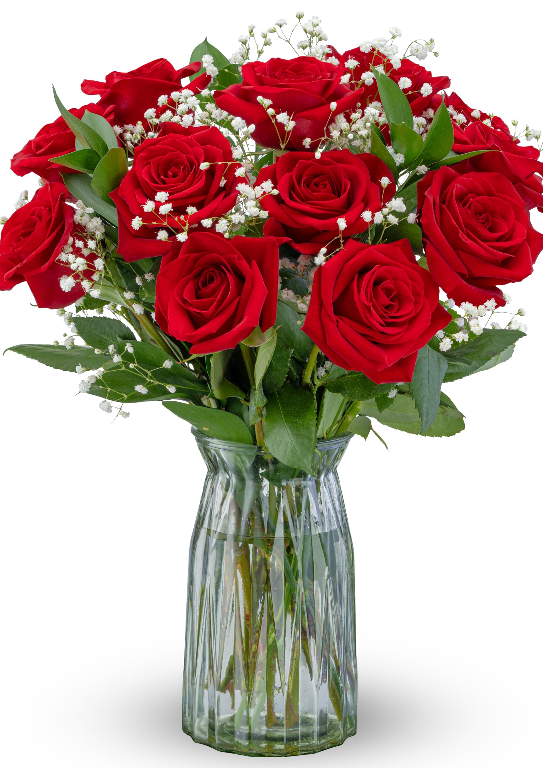 Benchmark Bouquets - Fresh Flowers for Delivery - One Dozen Long Stem Roses - An